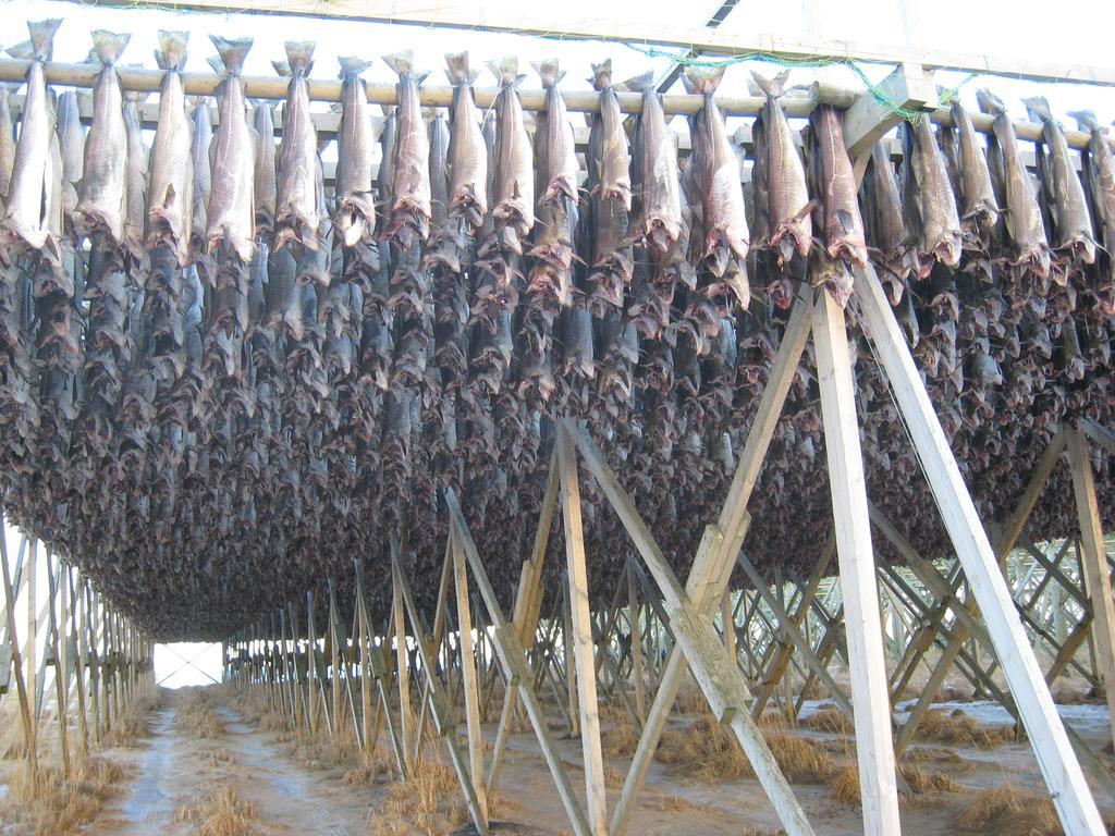 Frugga Feriehus Og Leilighet Straumsjoen Εξωτερικό φωτογραφία